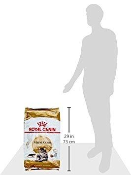 Royal Canin Adult Maine Coon kattenvoer 2 x 10 kg