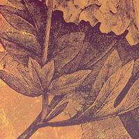 Noordwand Komar Ink Fotobehang Harvest - INX4-031 - thumbnail