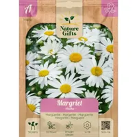 Margriet alaska 50st - thumbnail