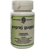 Surya Yograj gugul 60 Vegetarische capsules - thumbnail