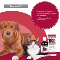 Fendiresp hoestsiroop voor hond en kat 100 ml - thumbnail