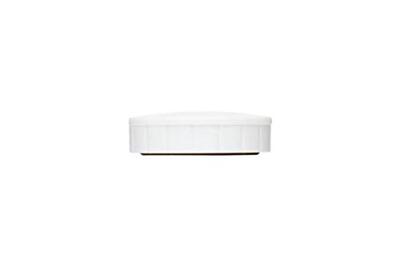 MAUL magneet Solid, 32 mm, trekkracht 800 gr, doos van 10 stuks, wit MAUL magneet Solid, 32 mm, trekkracht 800 gr, doos van 10 stuks, wit