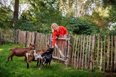 Engelse kastanjehekwerk op rol 120 cm/5,0 cm/3 draden Tuindeco - Tuindeco Engelse kastanjehekwerk op rol 120 cm/5,0 cm/3 draden Tuindeco - Tuindeco