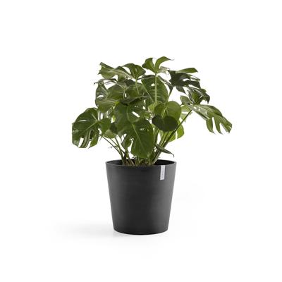 Ecopots Amsterdam Donkergrijs Ø50 x H44 cm