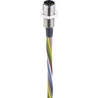 Belden 000091740 Sensor/actuator inbouwconnector M8 Aantal polen (sensoren): 8 Stekker, inbouw 0.50 m 1 stuk(s) - thumbnail