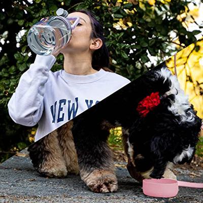 Asobu - The Barkley Dog Bowl - Tritanflasche 1 Liter with Hundenapf pink