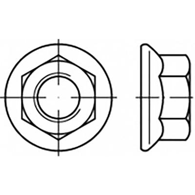 TOOLCRAFT TO-6866928 Zeskantmoeren met flens M12 Staal 250 stuk(s)