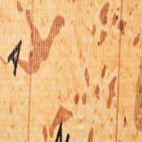 Kamerscherm inklapbaar wereldkaart 228x170 cm geel - thumbnail