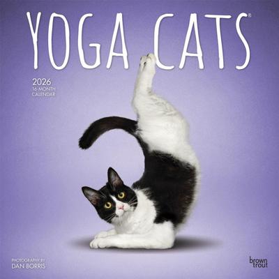 Yoga Cats Kalender 2026