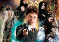 Harry Potter Jigsaw Puzzle Harry at Hogwarts (500 pieces) - thumbnail