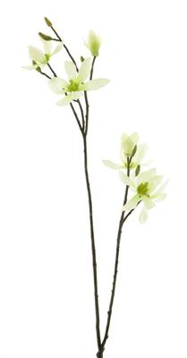 Magnolia spray cassablanca creme 102cm Magnolia spray cassablanca creme 102cm