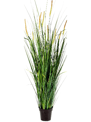 Kunstplant Foxtail wild grass XL