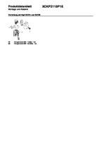 Telemecanique XCKP2118P16 XCKP2118P16 Eindschakelaar Rolhendel IP66/IP67 1 stuk(s) - thumbnail