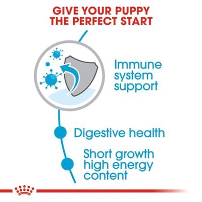Royal Canin Medium Puppy hondenvoer 2 x 4 kg