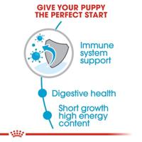 Royal Canin Medium Puppy hondenvoer 4 kg - thumbnail