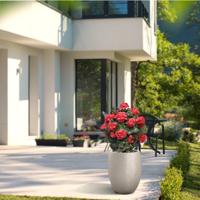 Geranium bol kunstplant 50cm UV rood - thumbnail