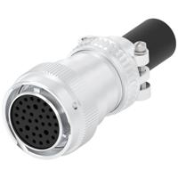 TE Connectivity HD36-24-35SN-059 Male behuizing (kabel) Inhoud: 1 stuk(s) Package - thumbnail