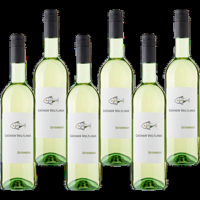 Gruner Veltliner 6 x 750 ml bij Jumbo - thumbnail