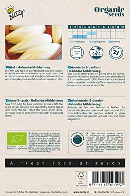 Biologische Witlof Hollandse Middelvroeg