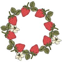 Sizzix • clear stamp set botanical fruit 19pcs - thumbnail