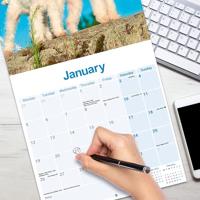 Fox Terrier Ruwhaar Kalender 2026 - thumbnail