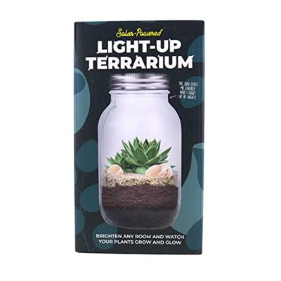 Lichtgevend terrarium