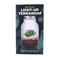 Lichtgevend terrarium - thumbnail