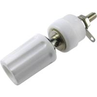 Cliff TP/1 Poolklem Wit 15 A 1 stuk(s) - thumbnail