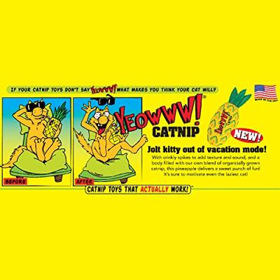 Yeowww! Pineapple Yeowww! Pineapple