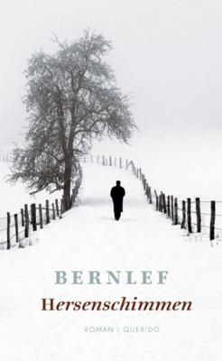 Hersenschimmen (Paperback)
