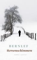 Hersenschimmen (Paperback) - thumbnail