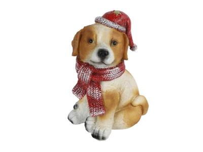 Hond boomer l, bruin Countryfield - Countryfield