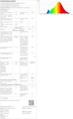 LED kopspiegellamp 4W E27 filament Segula dimbaar 55369