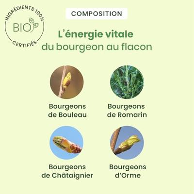 Herbalgem Detox Express Monodosissen 7x10ml