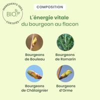 Herbalgem Detox Express Monodosissen 7x10ml - thumbnail