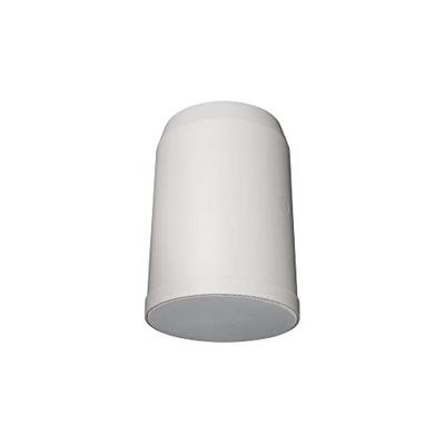 DAP HS-620P Hangende 100V ABS luidspreker 20W 6 inch