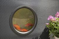Hozelock 3085 0000 Outdoor Aquarium Aquarium 500 l - thumbnail