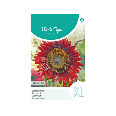 Zaden Helianthus Zonnebloem Evening Sun / Avondzon Hortitops - Hortitops