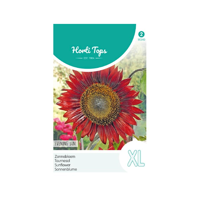 Zaden Helianthus Zonnebloem Evening Sun / Avondzon Hortitops - Hortitops - thumbnail