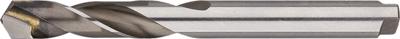 Rotec HSS Spiraalboor DIN 8037 met HM-snijkant 10,2 mm - 1341020 Rotec HSS Spiraalboor DIN 8037 met HM-snijkant 10,2 mm - 1341020