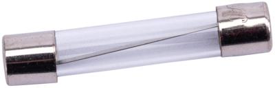 SPAHN glazen zekering glass fuses 20a 6x32 mm (10pcs)
