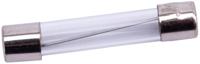SPAHN glazen zekering glass fuses 20a 6x32 mm (10pcs) - thumbnail
