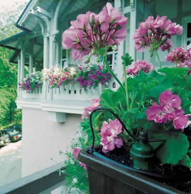 Blumat Blumat Maxi Set voor 12 planten