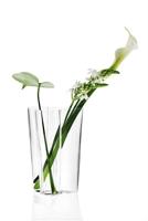 IITTALA - Aalto - Vaas 25cm helder - thumbnail