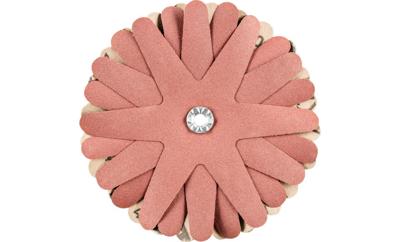 PFERD TOOLS 42732169 Schuursterren Diameter 100 mm 10 stuk(s)