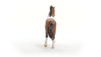 schleich HORSE CLUB mangalarga marchador hengst 13978 - thumbnail