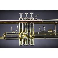 Vincent Bach TR501 Bb trompet 122.24 mm (gelakt) met tas - thumbnail