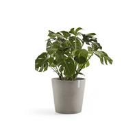 Ecopots Amsterdam kunststof bloempot Taupe - Ø 47 cm - thumbnail