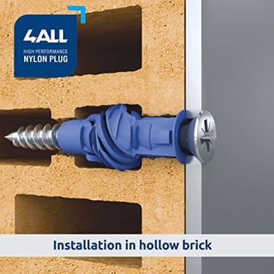 Rawl 4All Universeelplug 6X30 | 100 stuks - R22-4ALL-06030