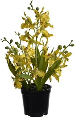 Pure Royal kunstplant orchidee 33cm geel